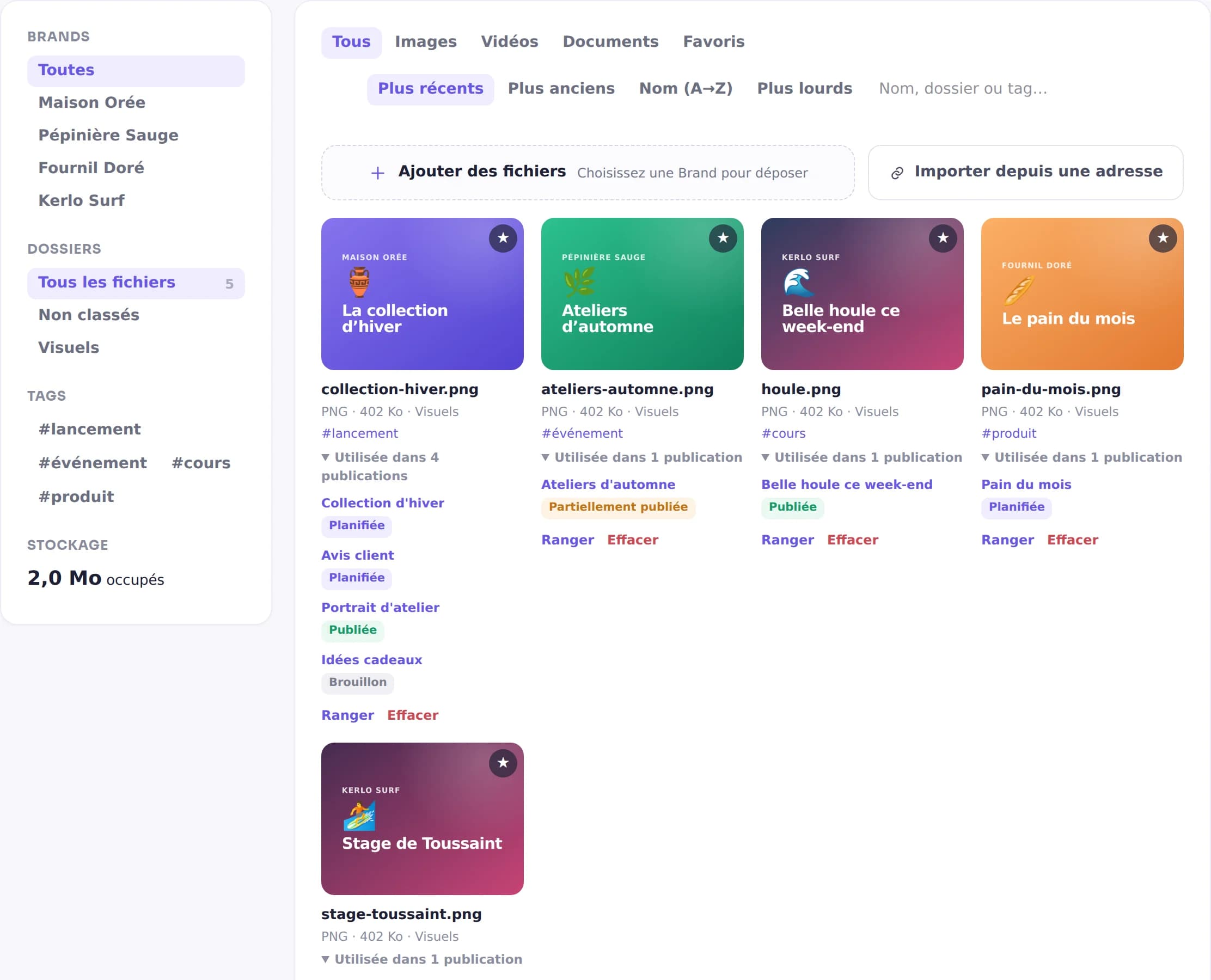 La bibliothèque de Ts-Pulse : les visuels de quatre marques, et sous chacun la liste des publications qui l'emploient, avec leur statut.